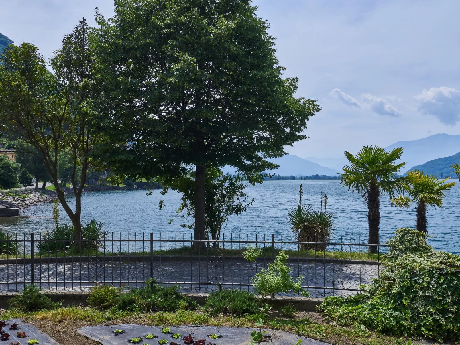Punto Lago-Outside