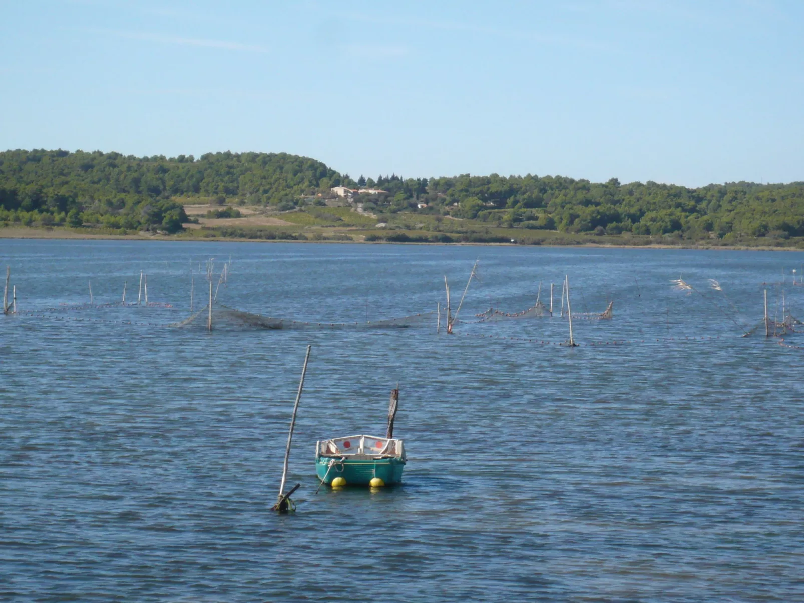 Maisons sur la Plage-Area