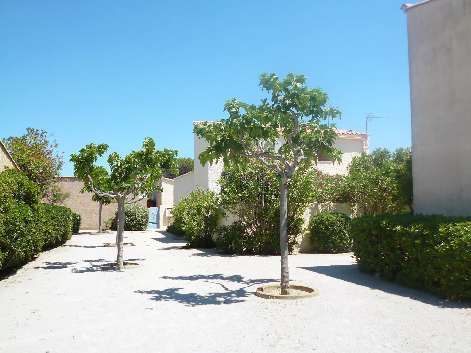 Les Jardins du Barcarès-Outside