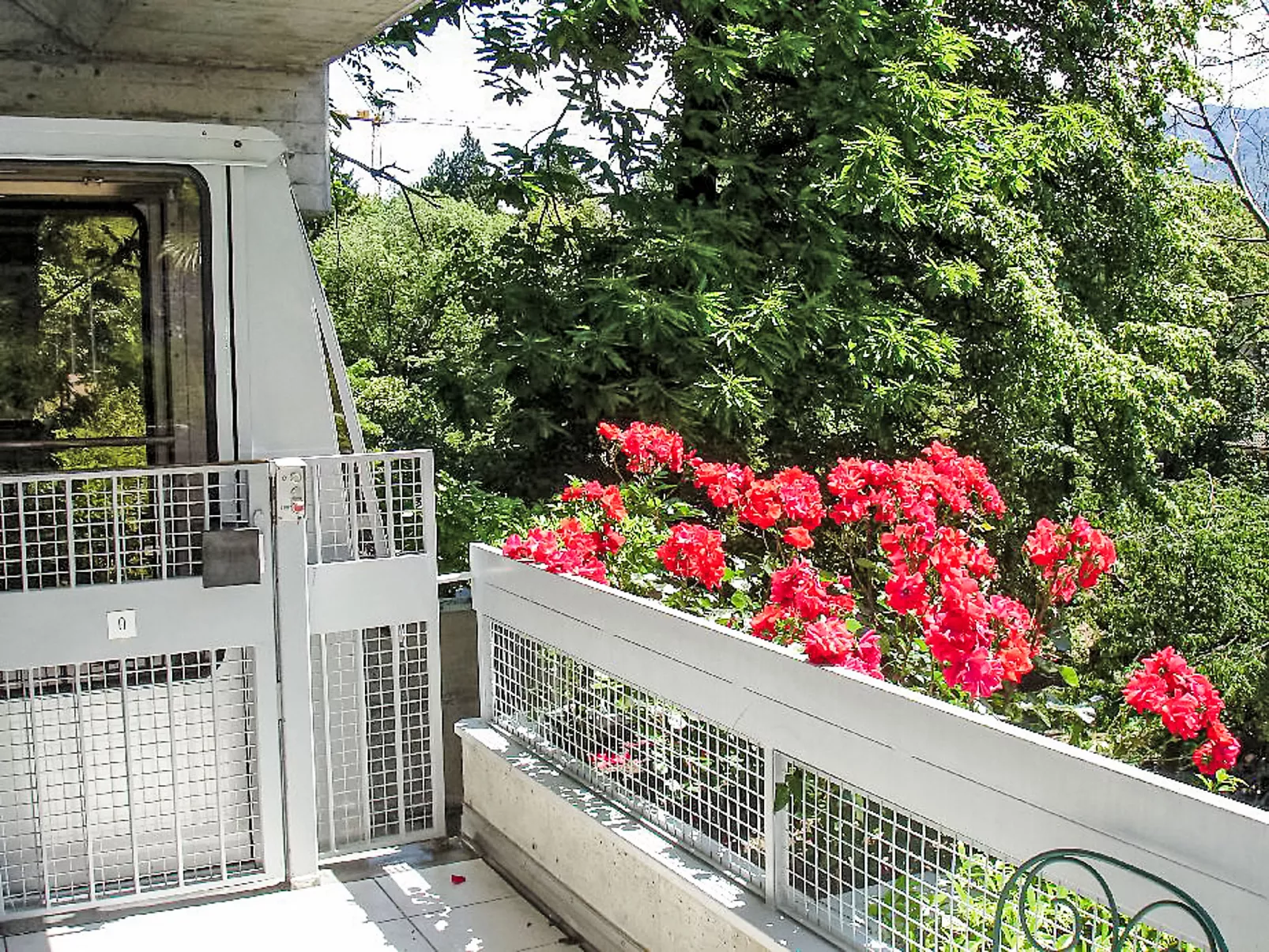Lakeview App 501-Outside