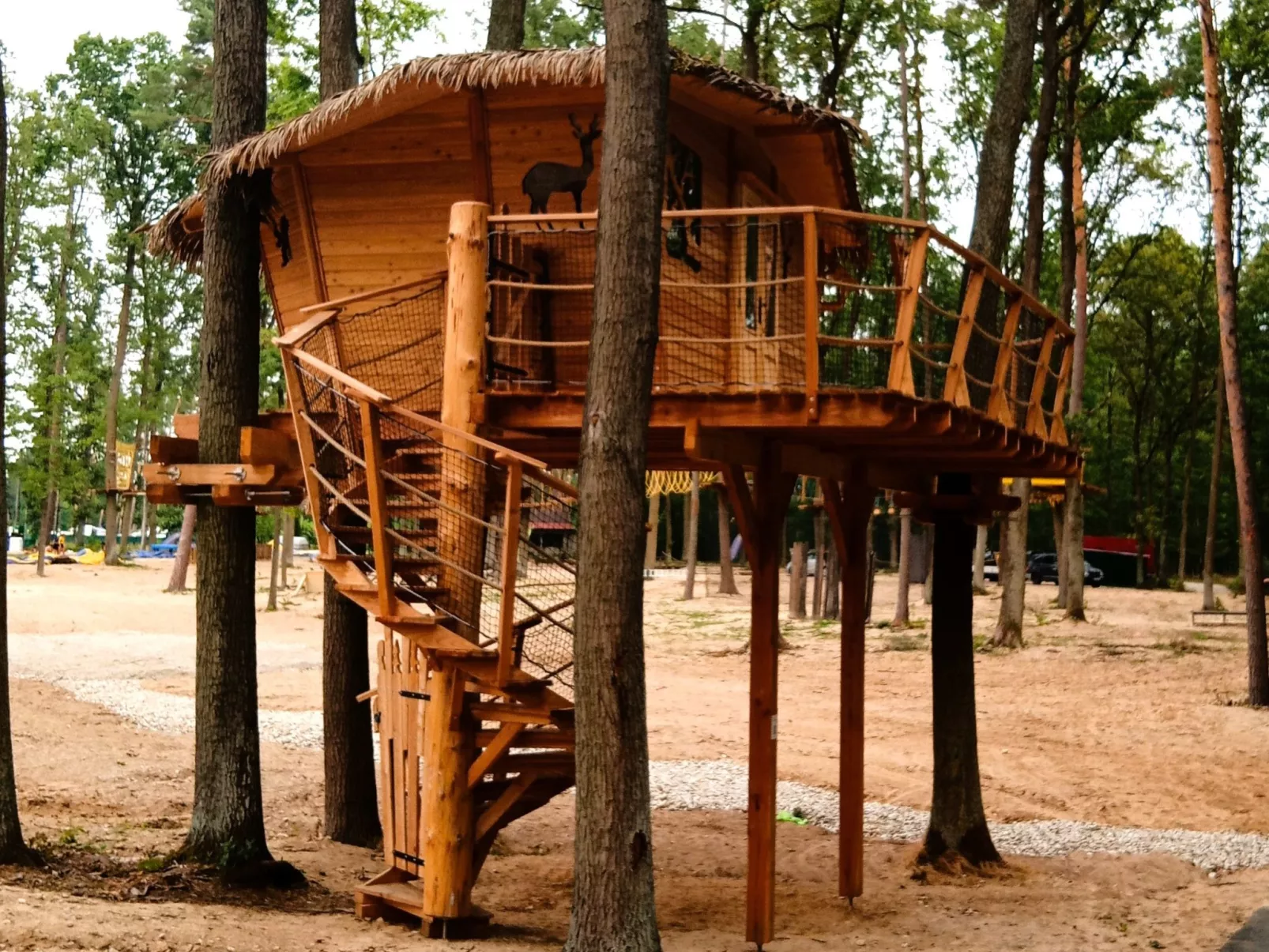 Treehouse 2-Outside