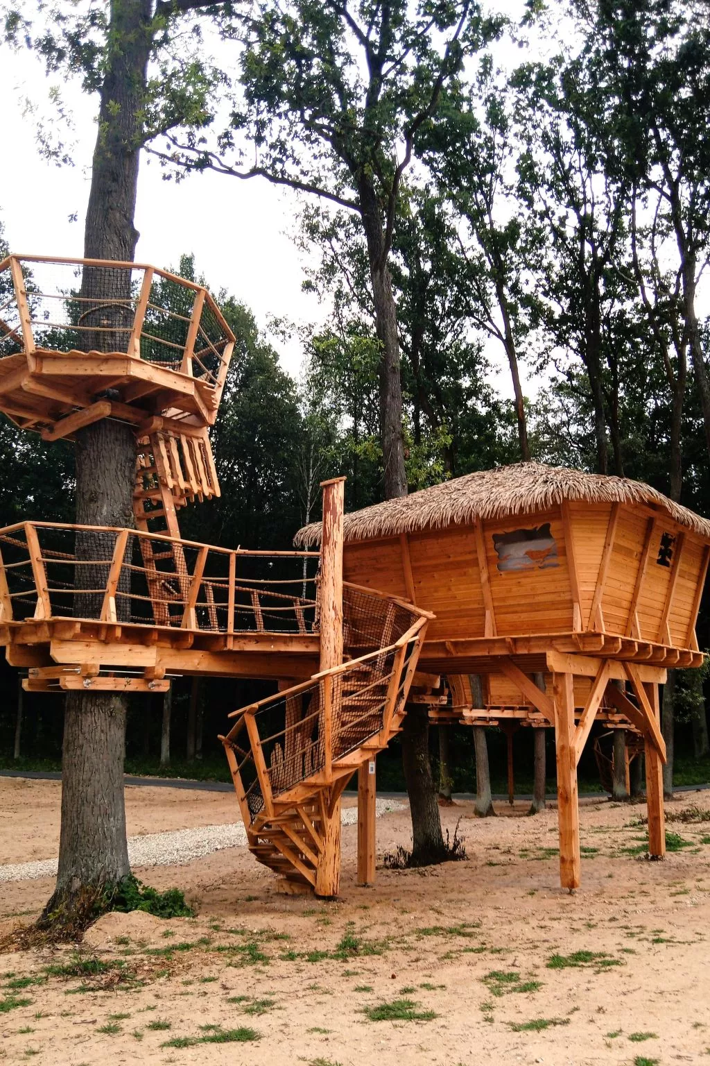Treehouse 2-Outside