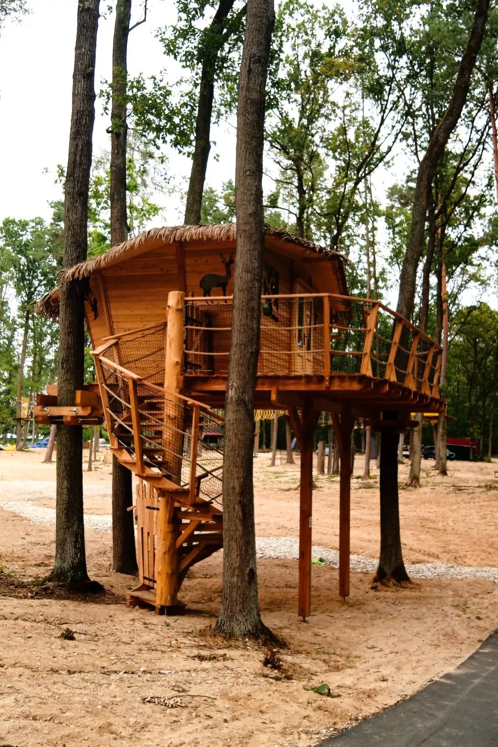 Treehouse 2-Outside