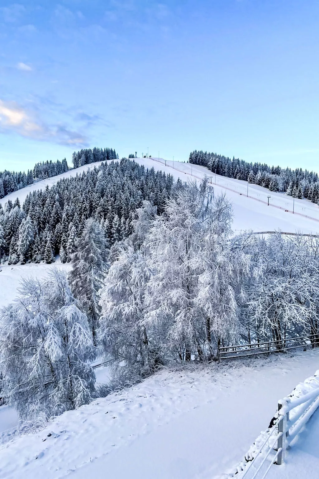 Simonhöhe Kärntentraum-Outside