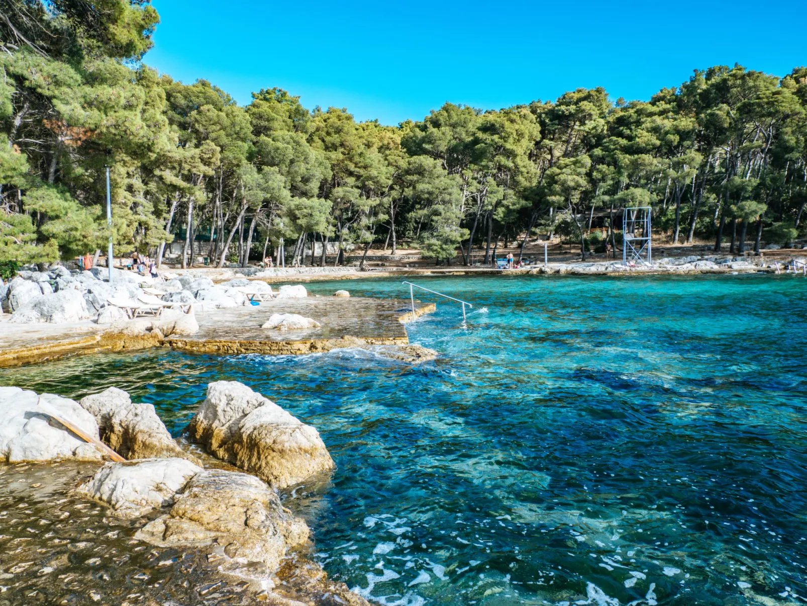 Taja-Area