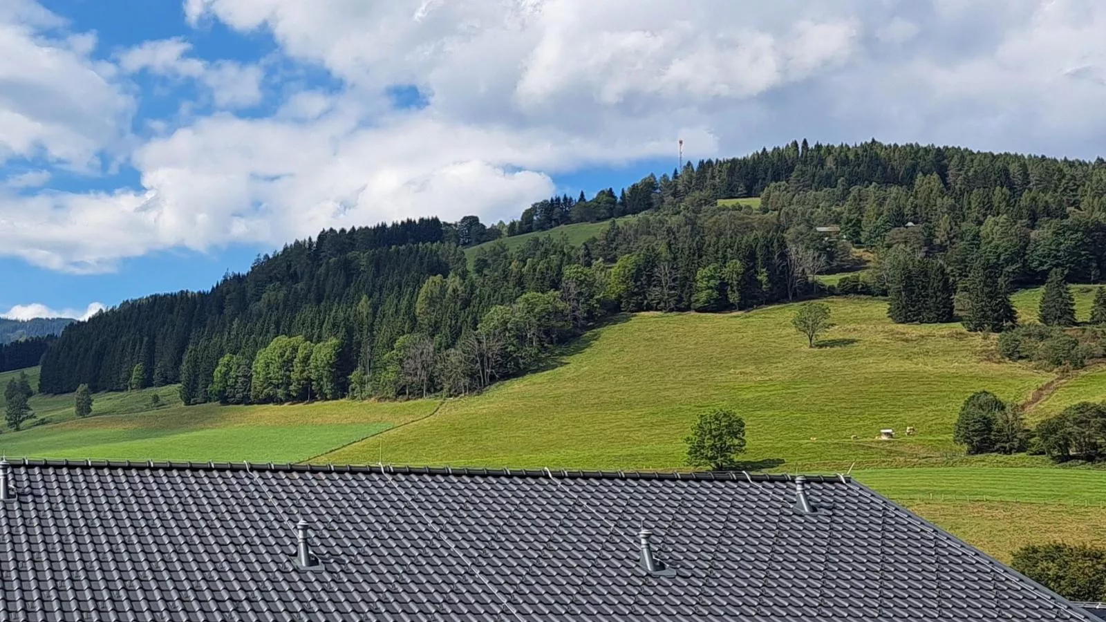 Grebenzen Lodges 49B-View summer