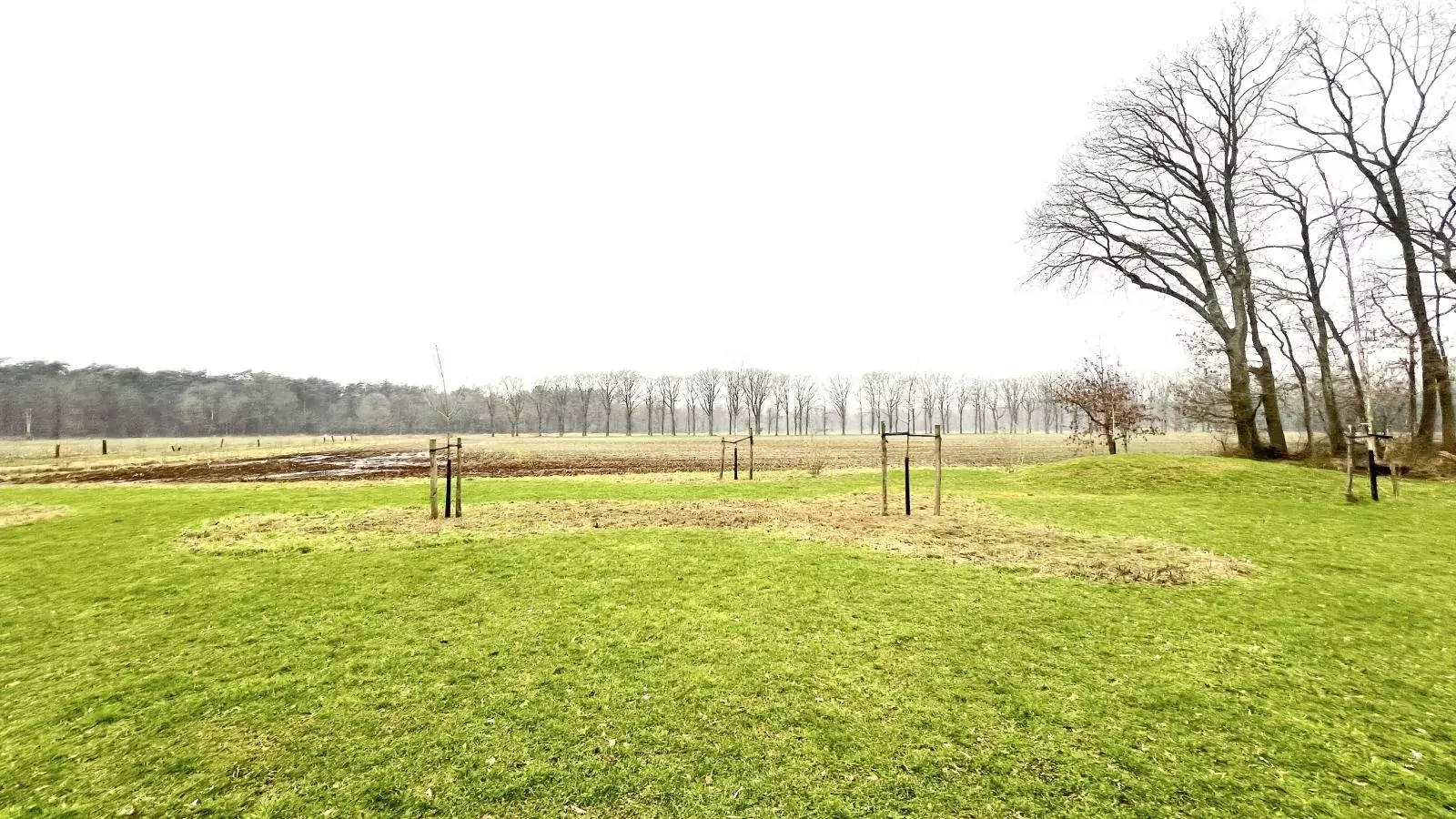 Villa Lactea-View summer