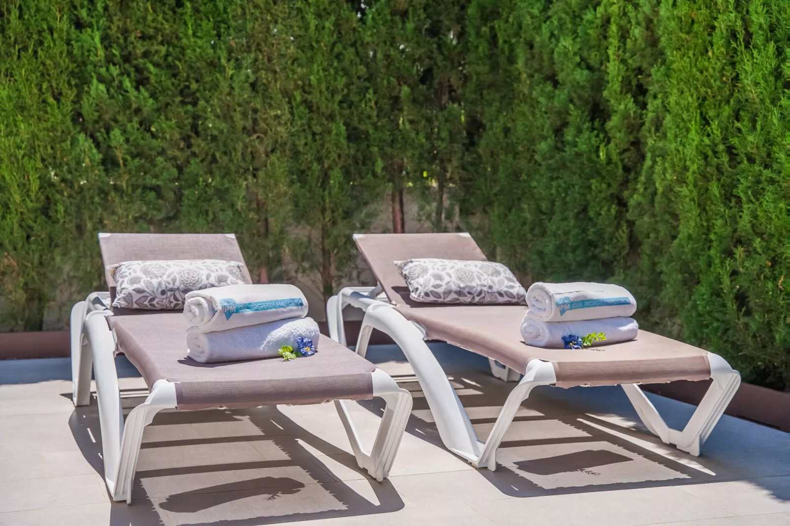 Xiscama-Terrace