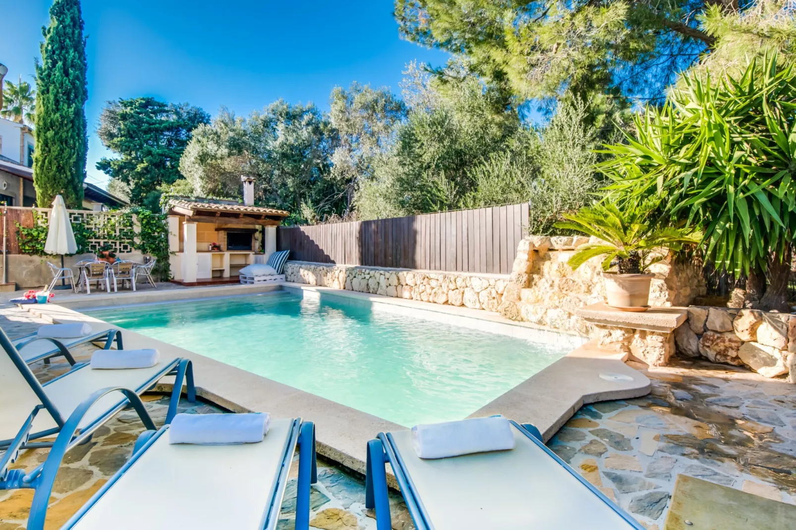 Can Jaume-Pool