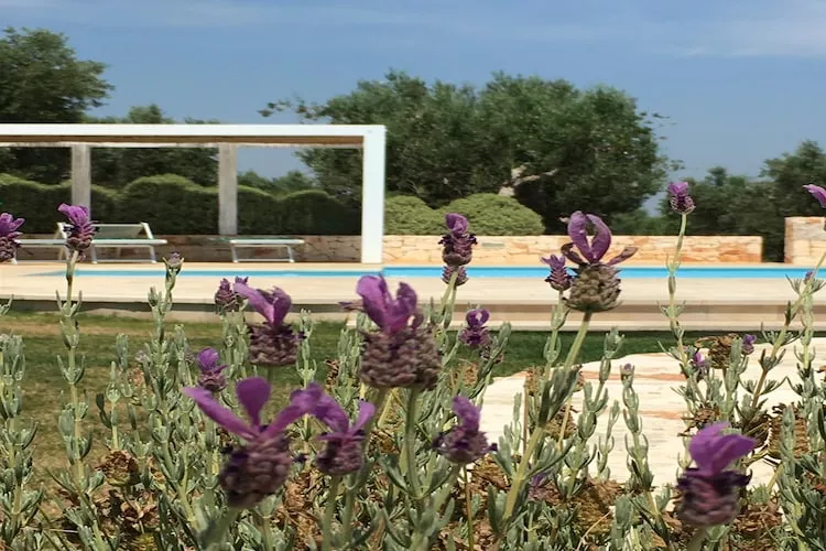 Trullo Amato Cisternino-Pool