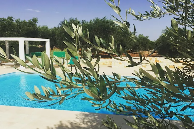 Trullo Amato Cisternino-Pool