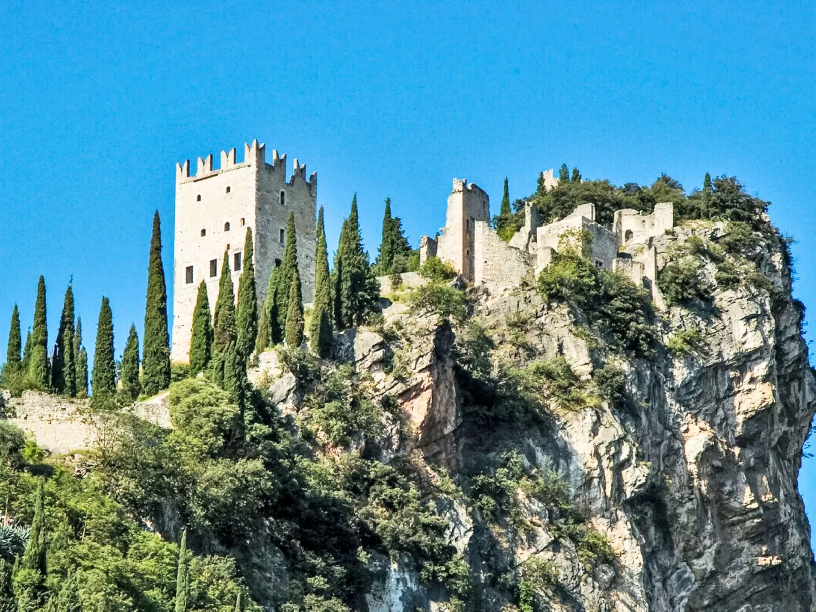 Crosina-Area