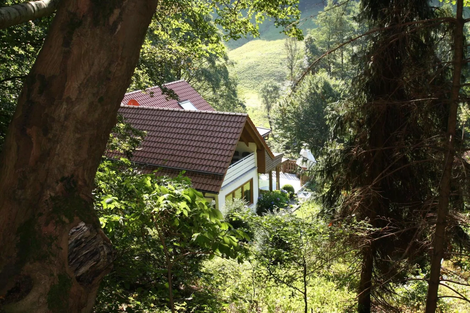 Wohnung 1 Wandernest-Exterior summer