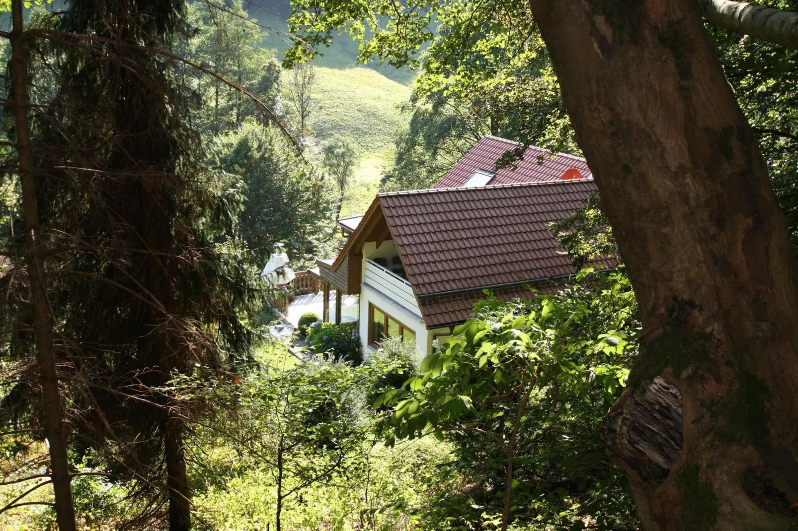 Wohnung 1 Wandernest-Exterior summer