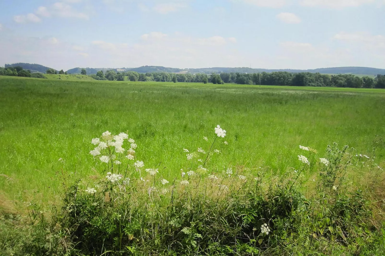 Habicht 1-2 Pers-Gardens summer