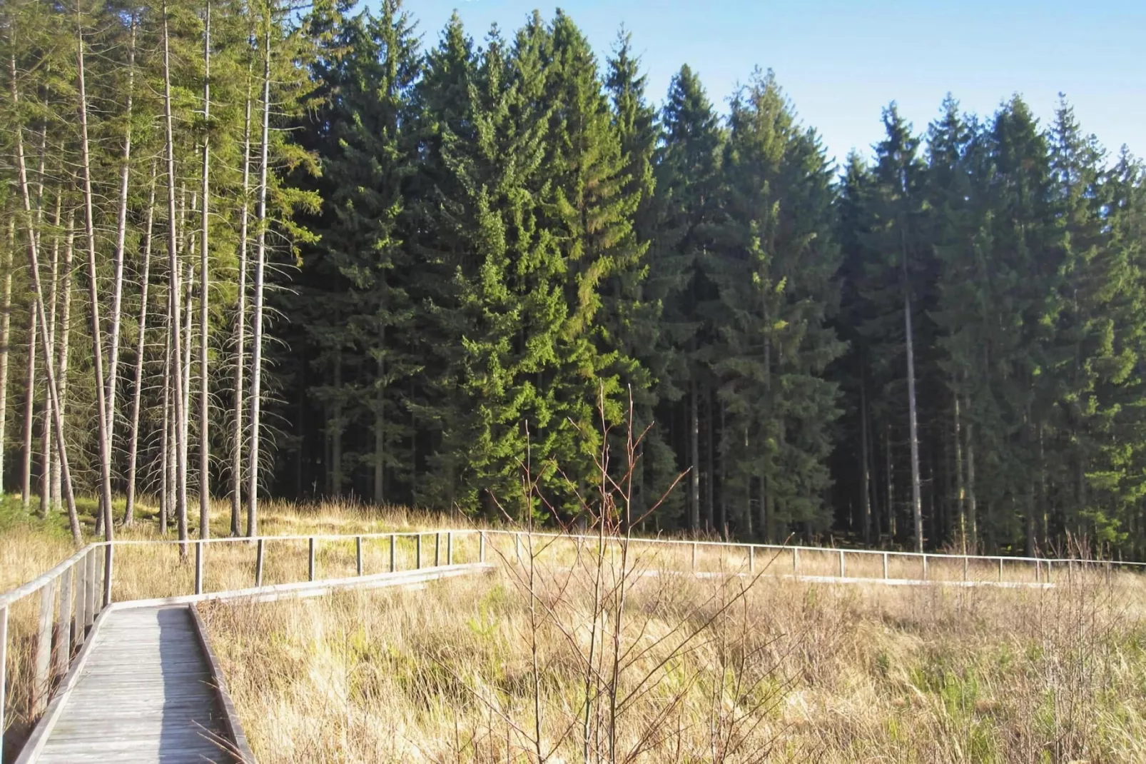 Habicht 1-2 Pers-Areas summer 1km