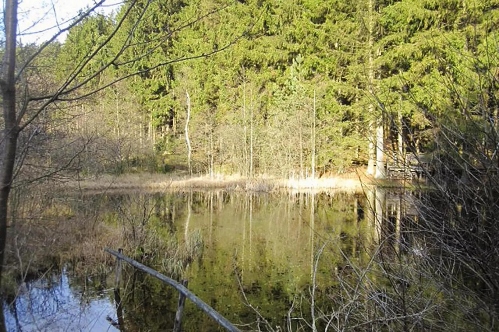 Habicht 1-2 Pers-Areas summer 5km