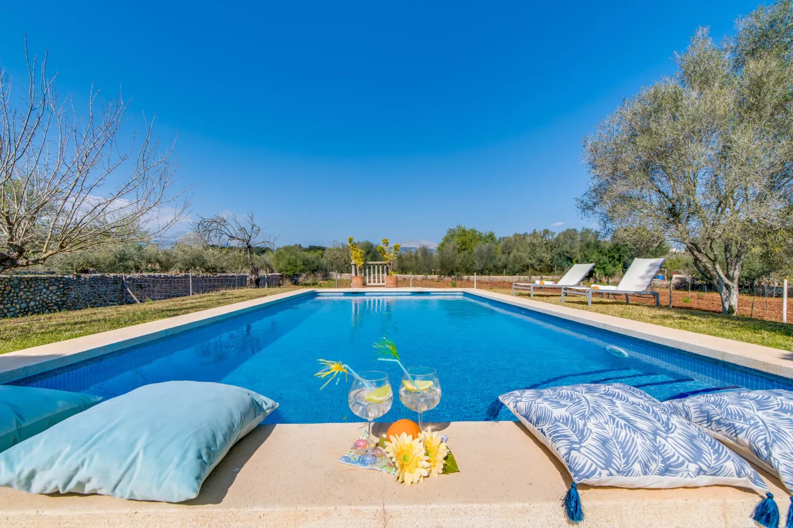 Ses Planes-Pool