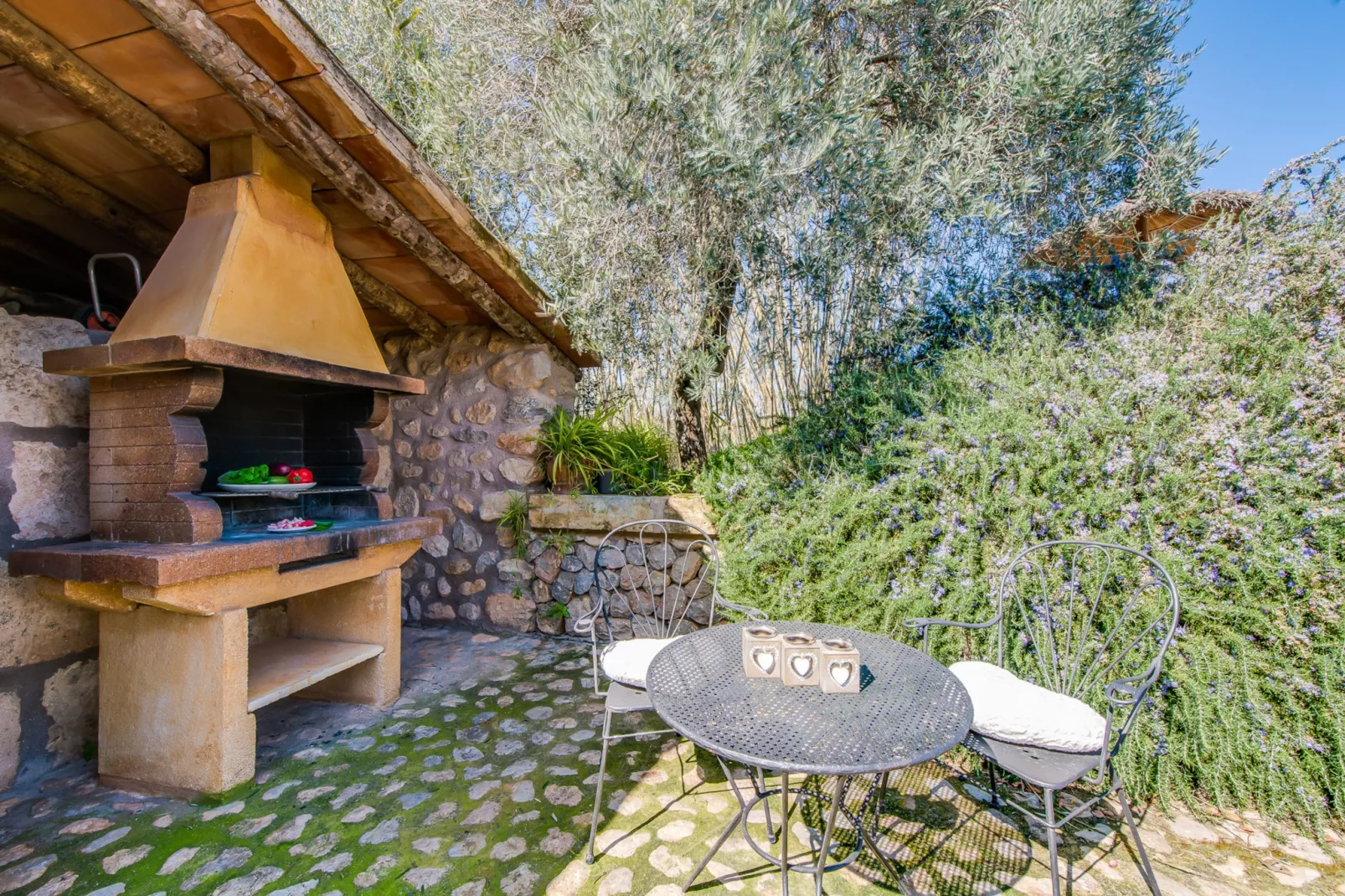 Ses Planes-Terrace