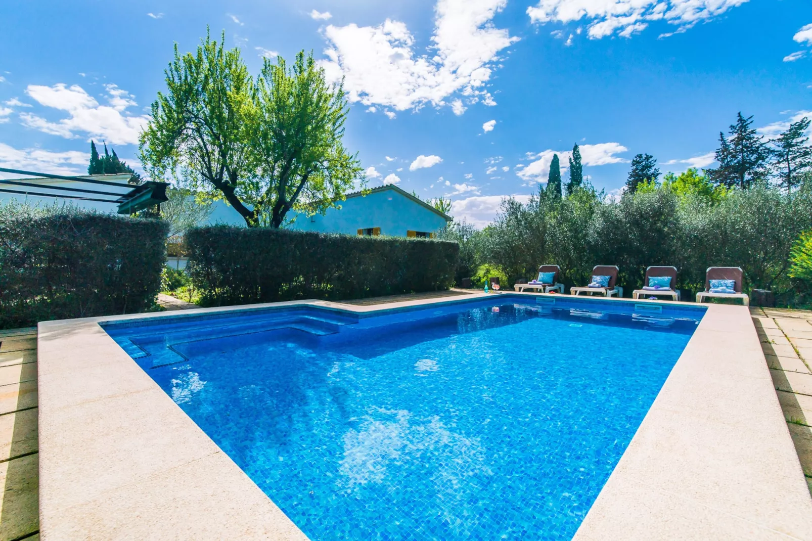 Can Flauta-Gardens summer