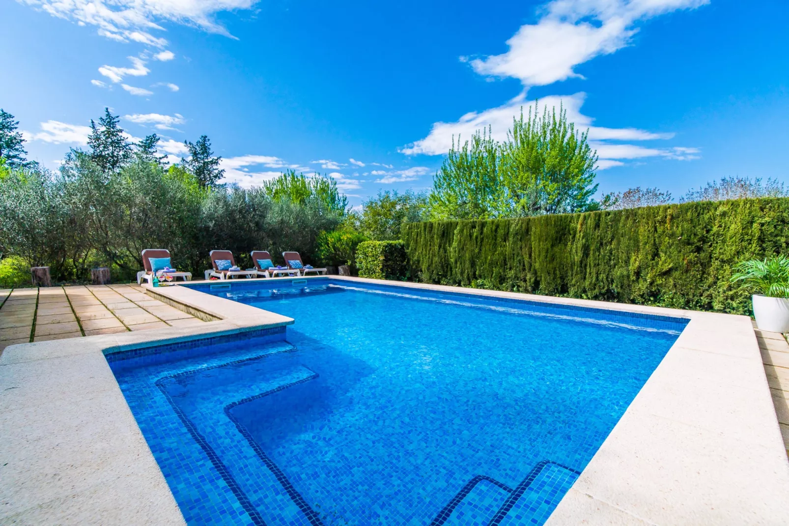 Can Flauta-View summer