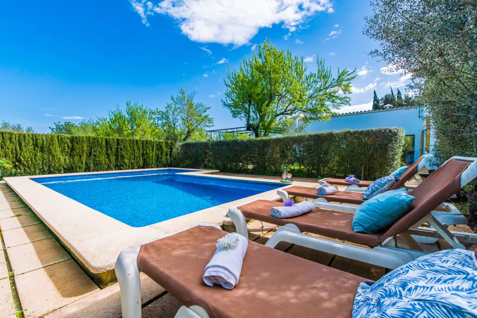 Can Flauta-Terrace balcony