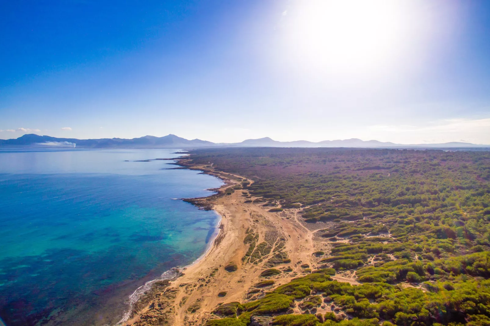 Puig den Guardiola-Areas summer 5km