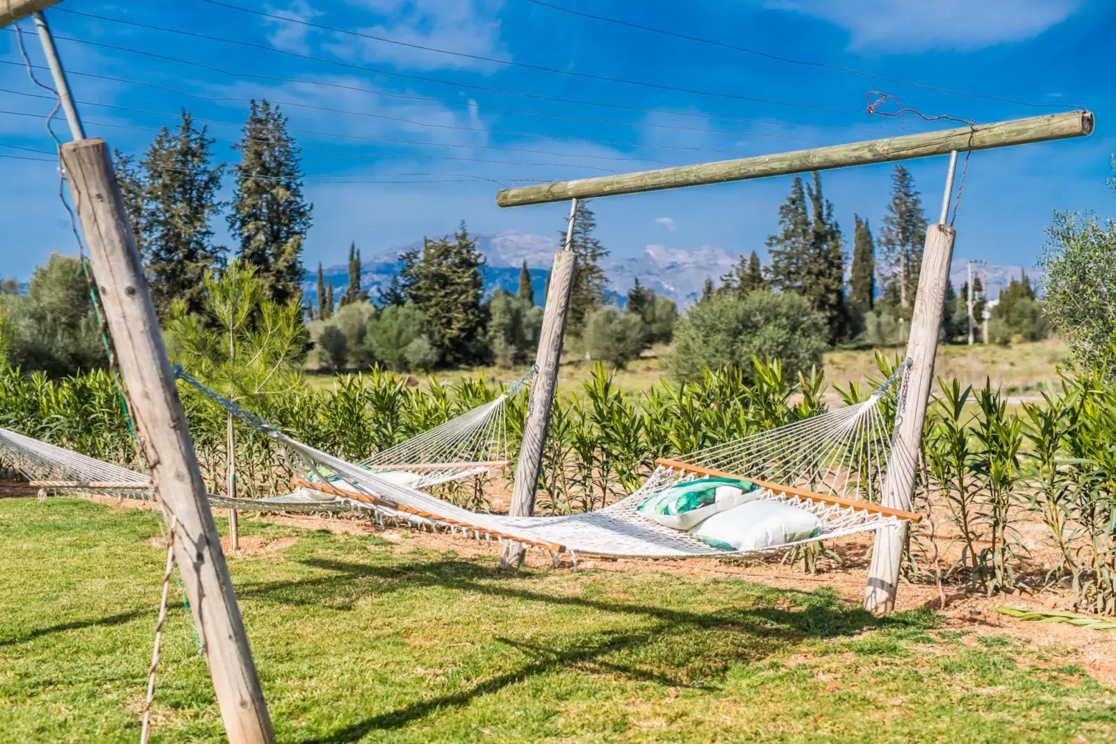 Son Vivot-Gardens summer