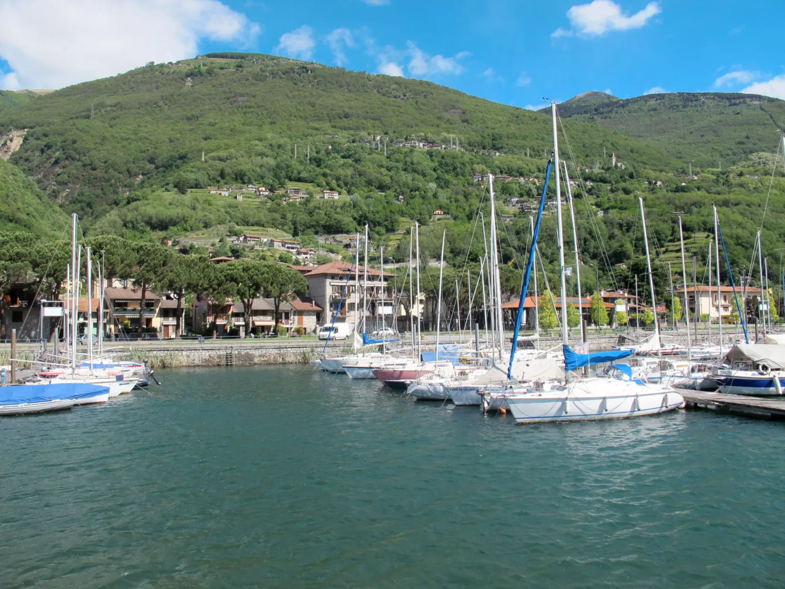 Elisabetta (GLA116)-Area