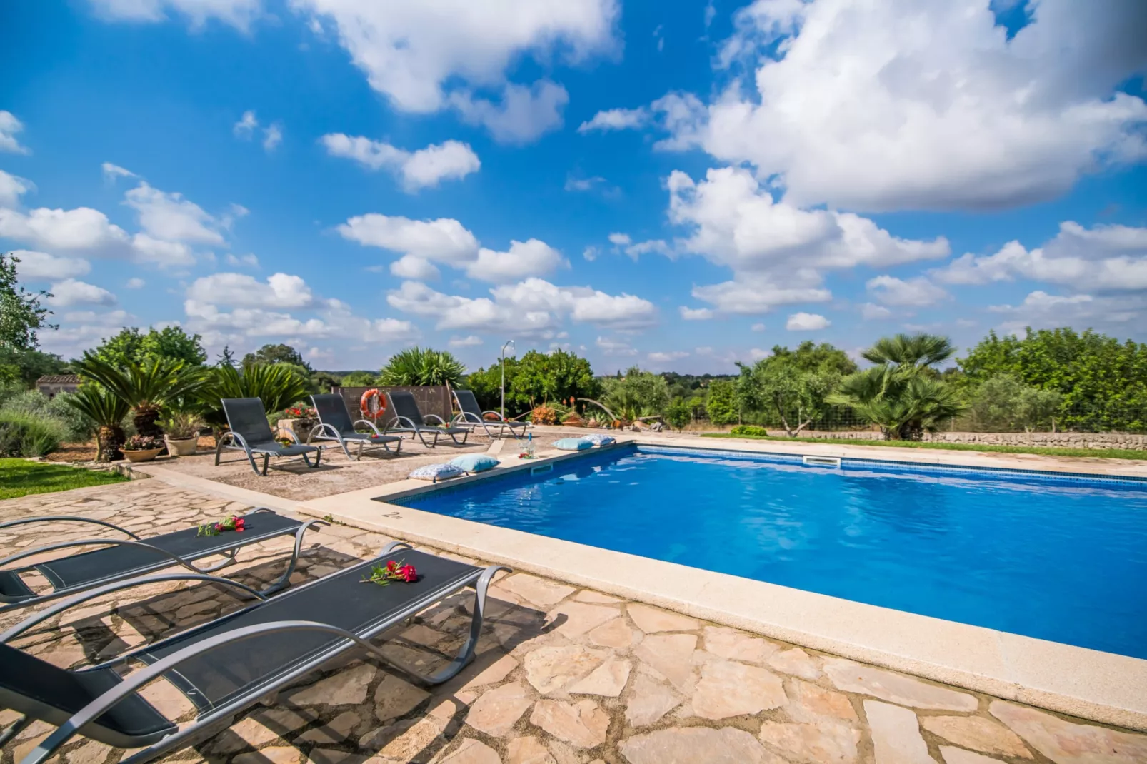 Sa Font-Pool