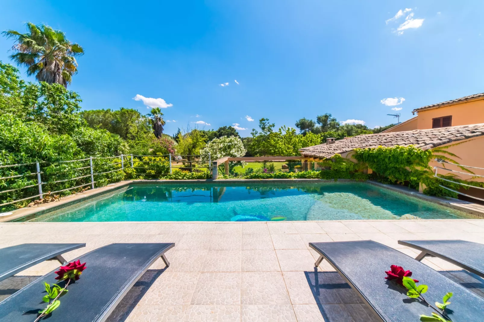 Can Roig Gran-Exterior summer