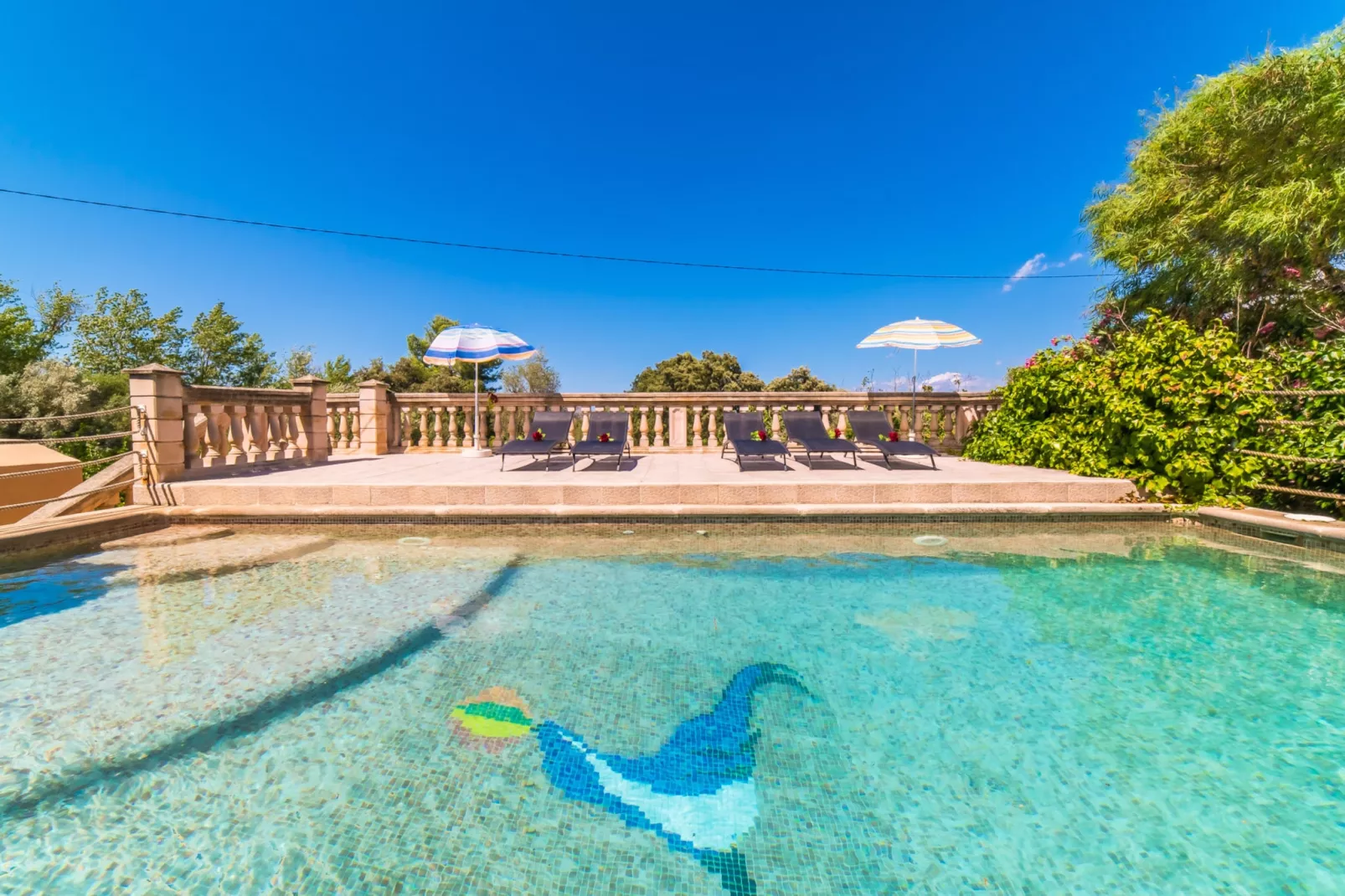 Can Roig Gran-Pool