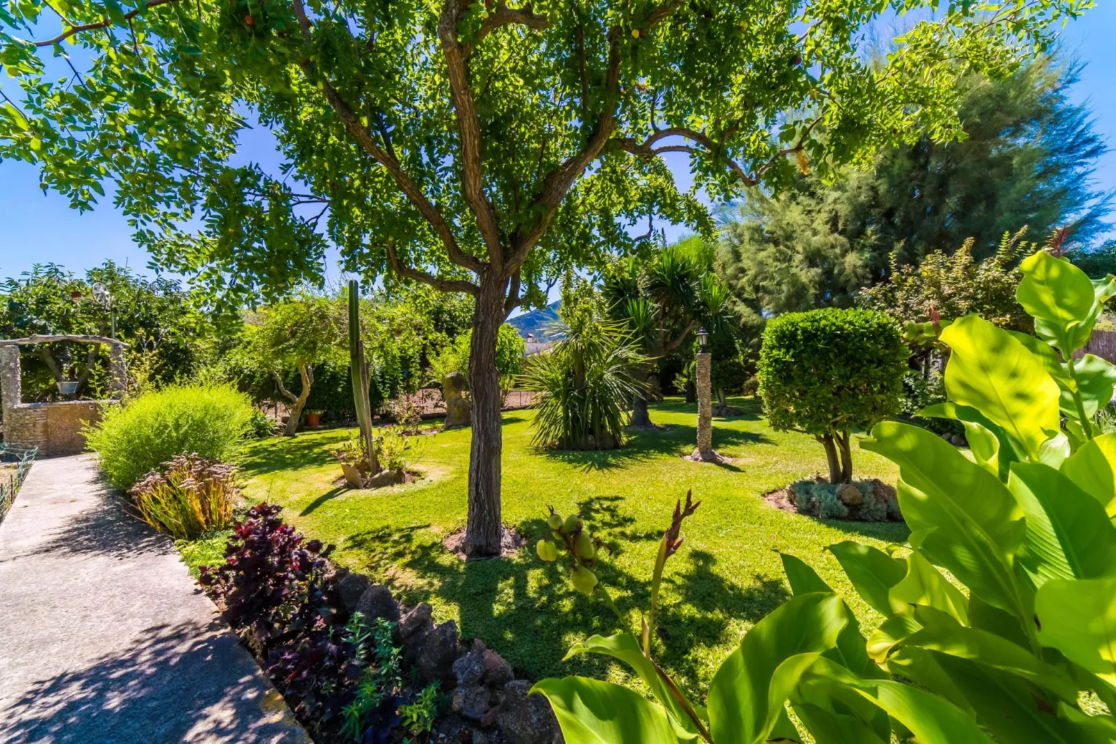 Sa Sort Llarga-Gardens summer