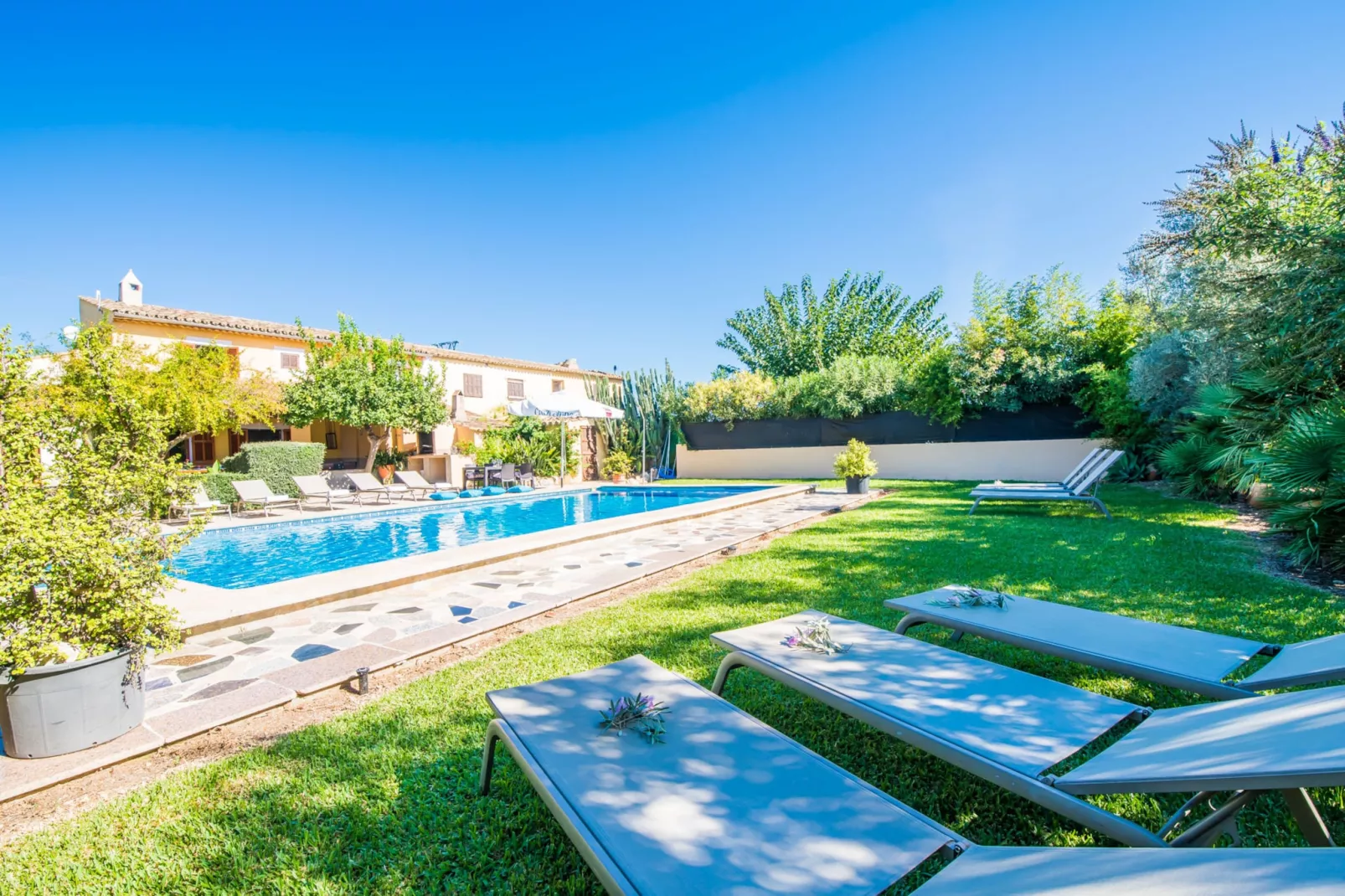 Can Verga-Pool