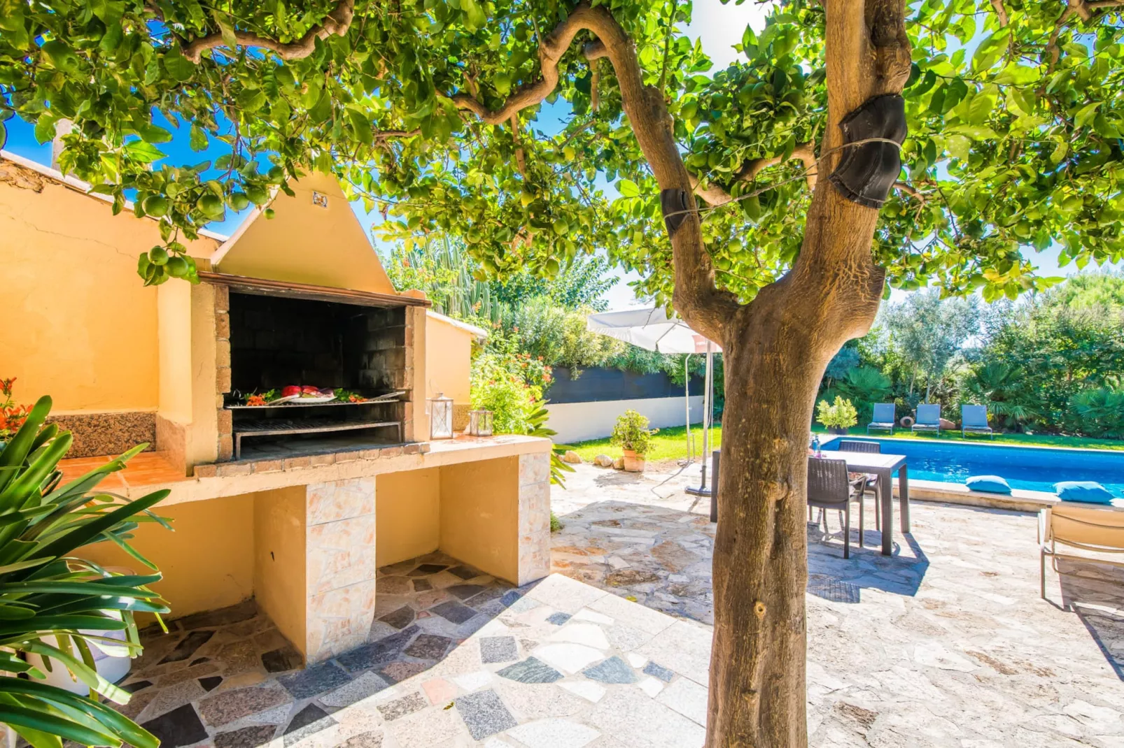 Can Verga-Terrace
