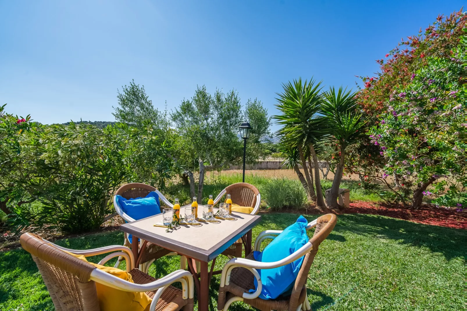 Can Carabassot-Gardens summer