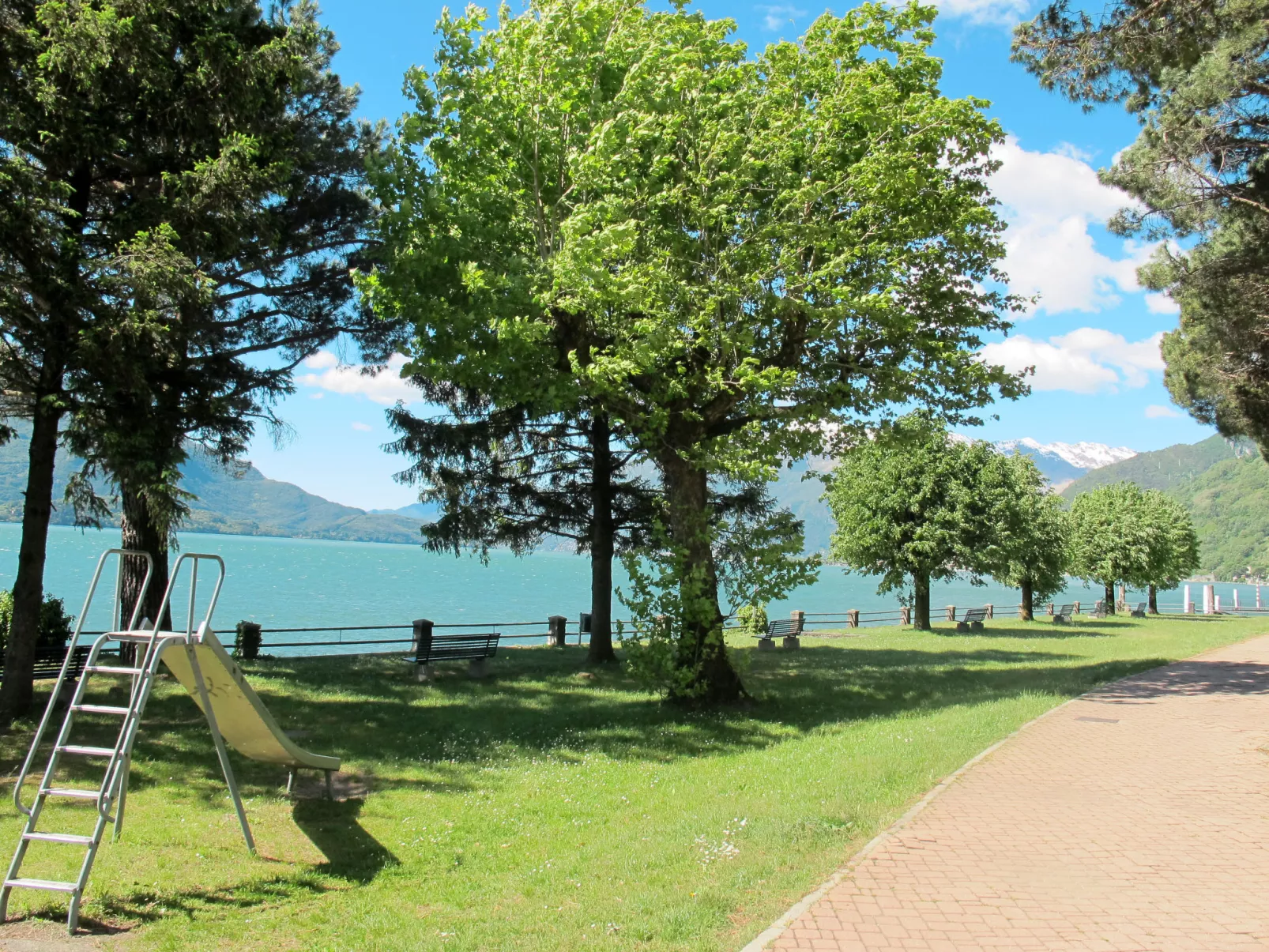 Alba e Robinia-Area