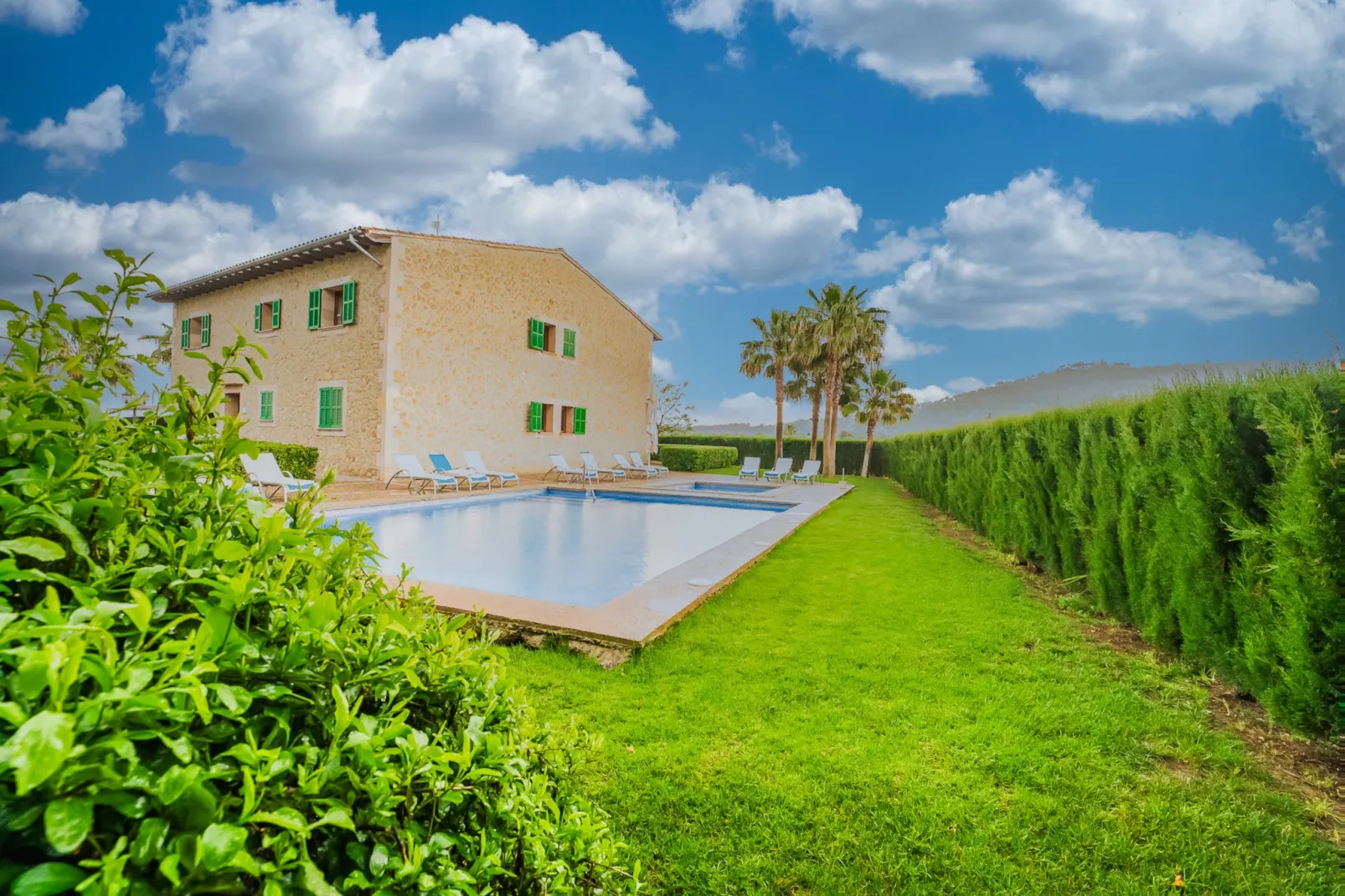 El Palmeral