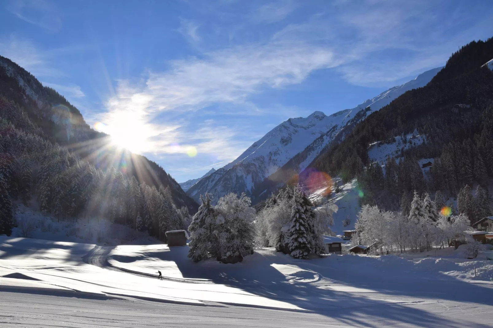 Backyard Mountain Hostel-Area winter 5km