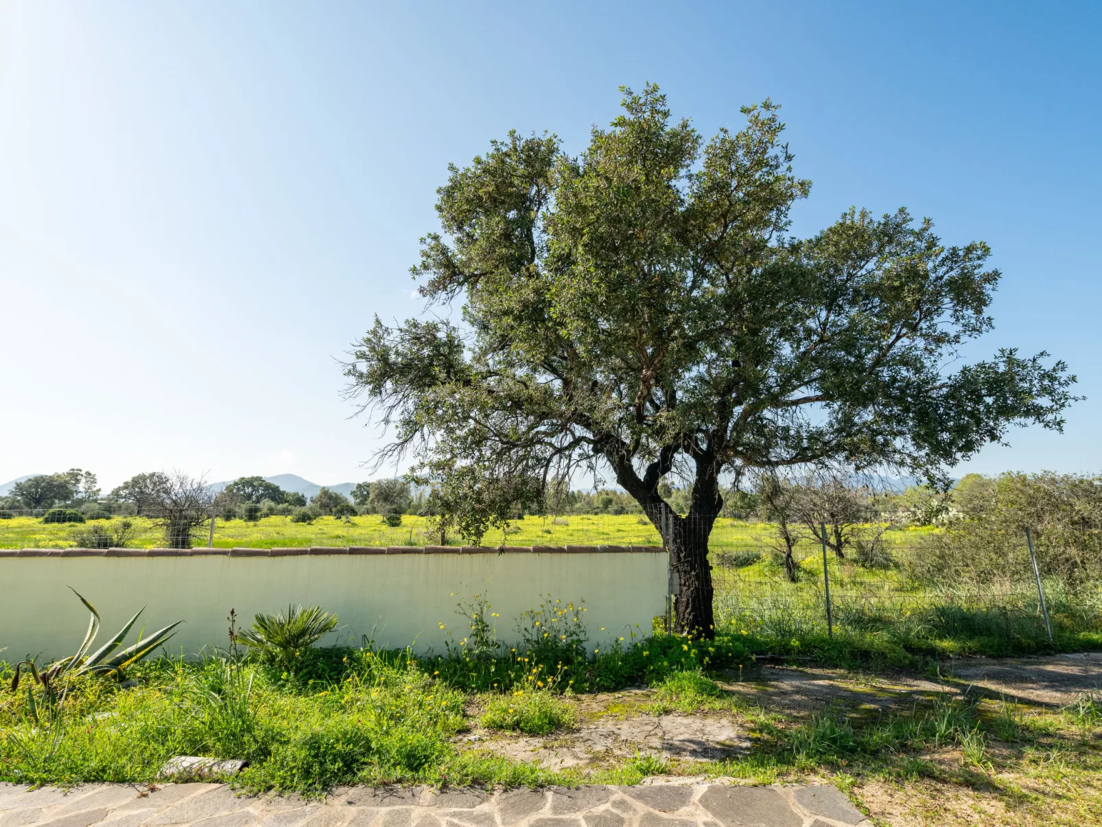 Sa Frontera-Outside