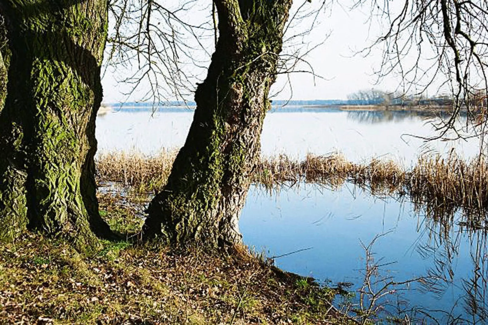 Ferienwohnung in Beetzseeheide-Areas summer 1km