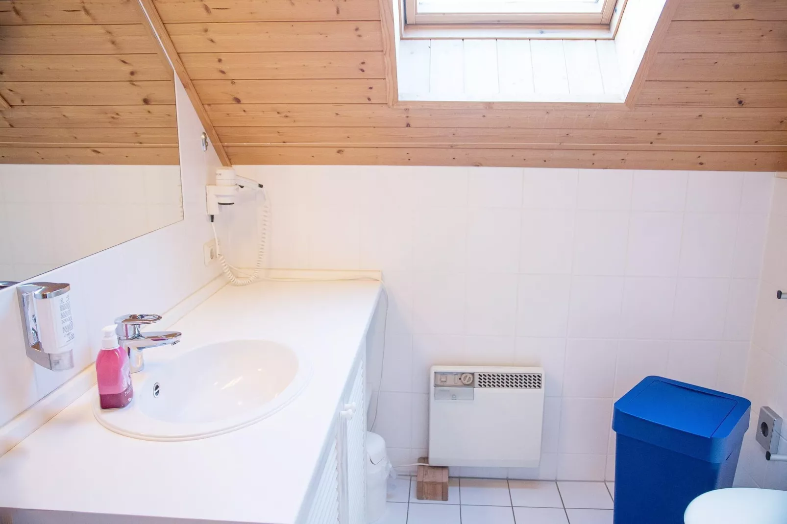 Ferienhaus in Hasselfelde - Haus 404 Auerhahn-Bathroom