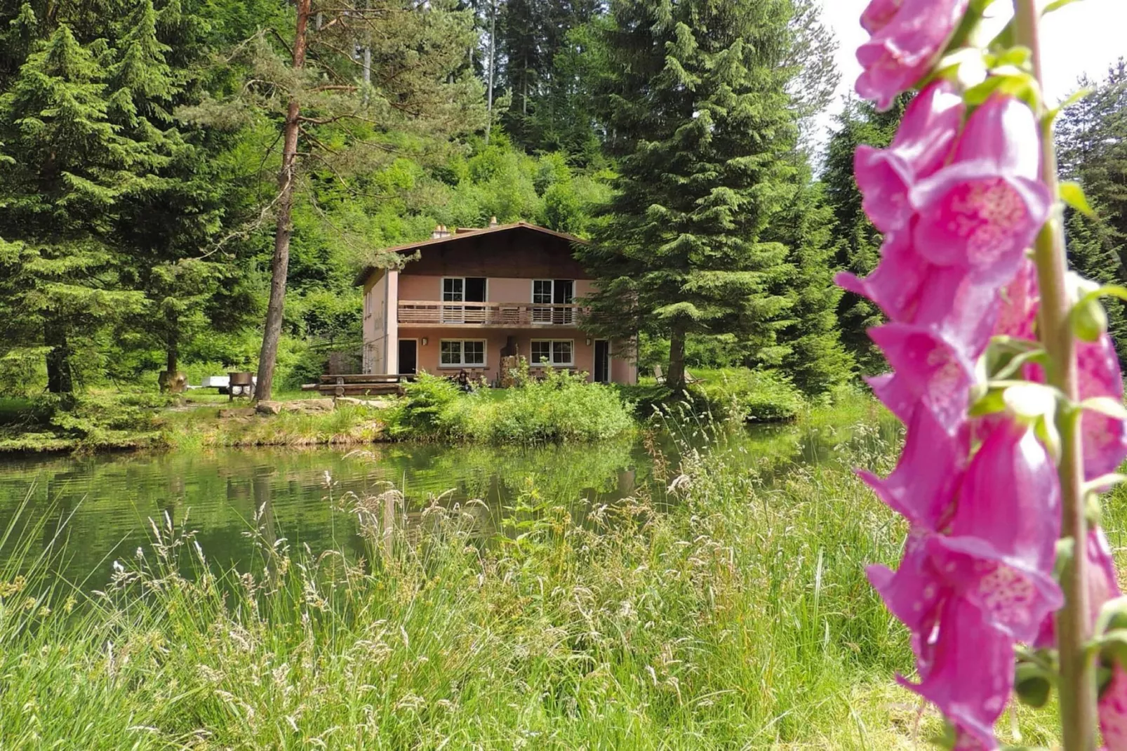 Holiday flats Forellenhof Dabo // Typ C 7 Pers 95 qm-View summer