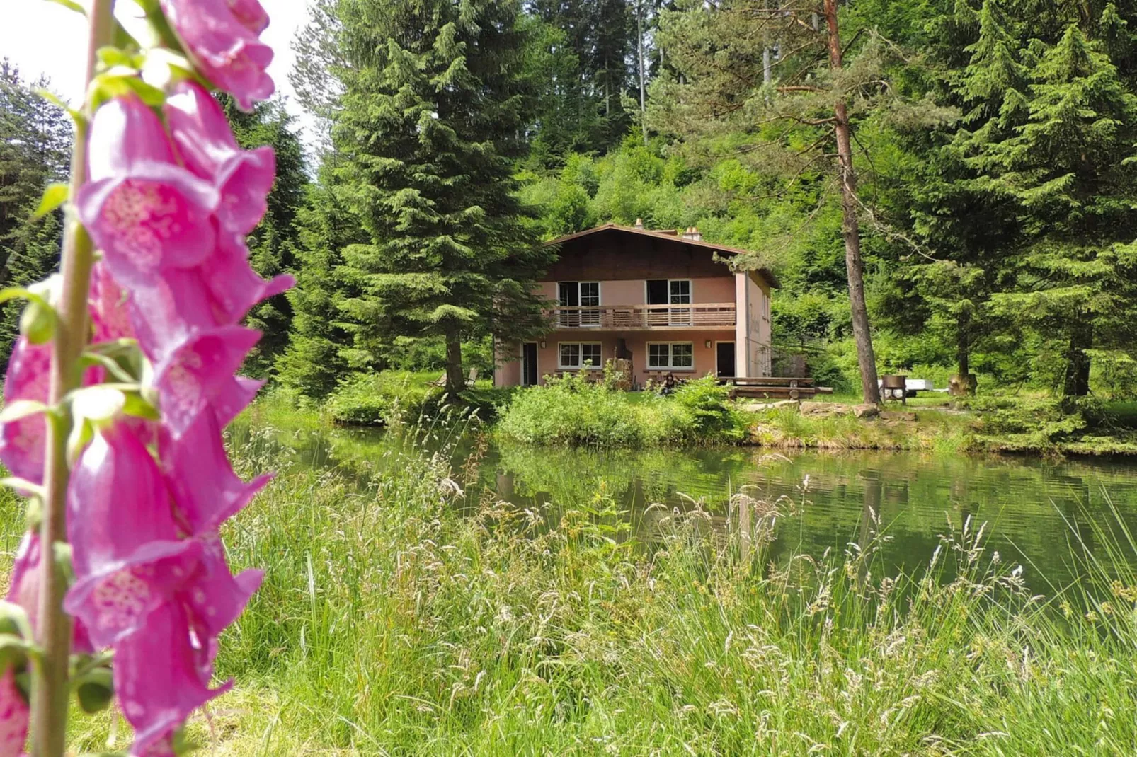 Holiday flats Forellenhof Dabo // Typ C 7 Pers 95 qm-View summer