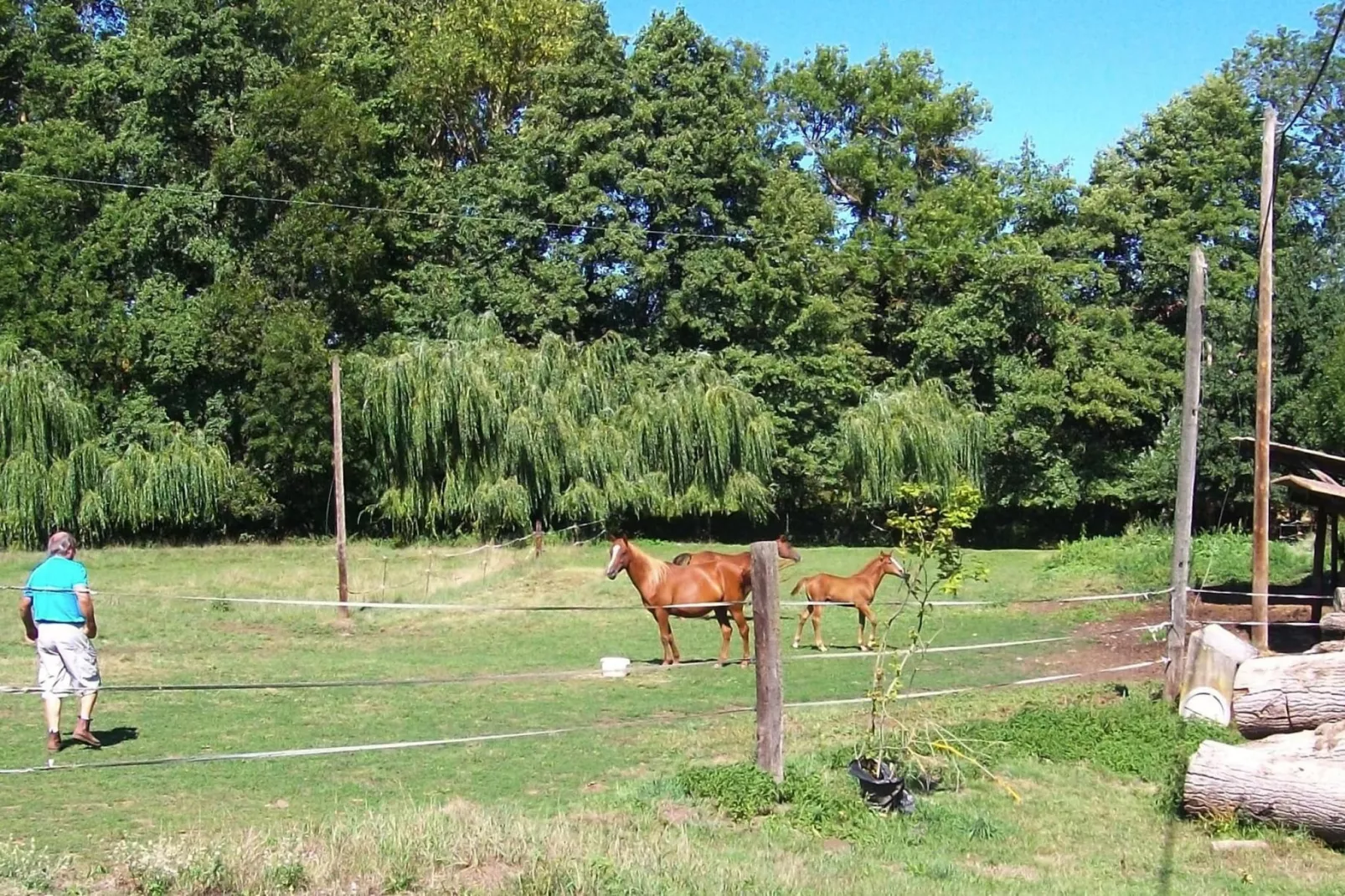 Ferienwohnung in Retournac-Facilities