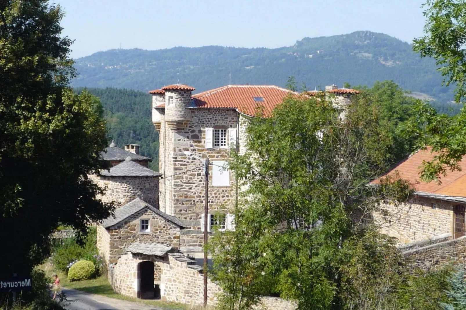 Ferienwohnung in Retournac-View summer