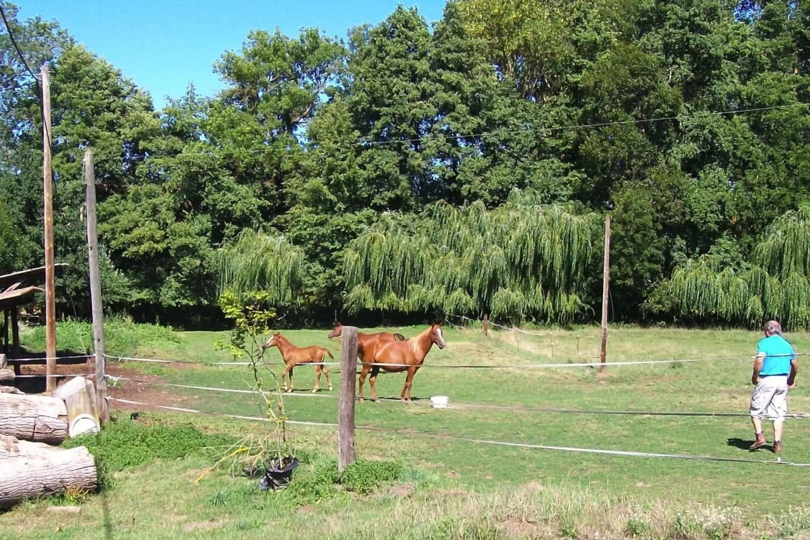 Ferienwohnung in Retournac-Facilities