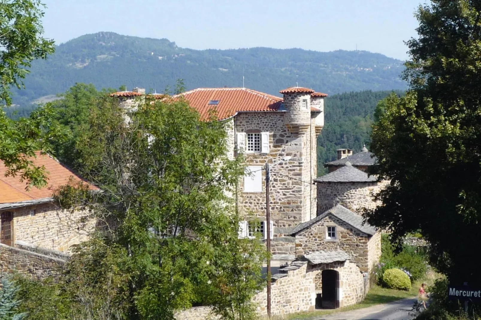 Ferienwohnung in Retournac-View summer