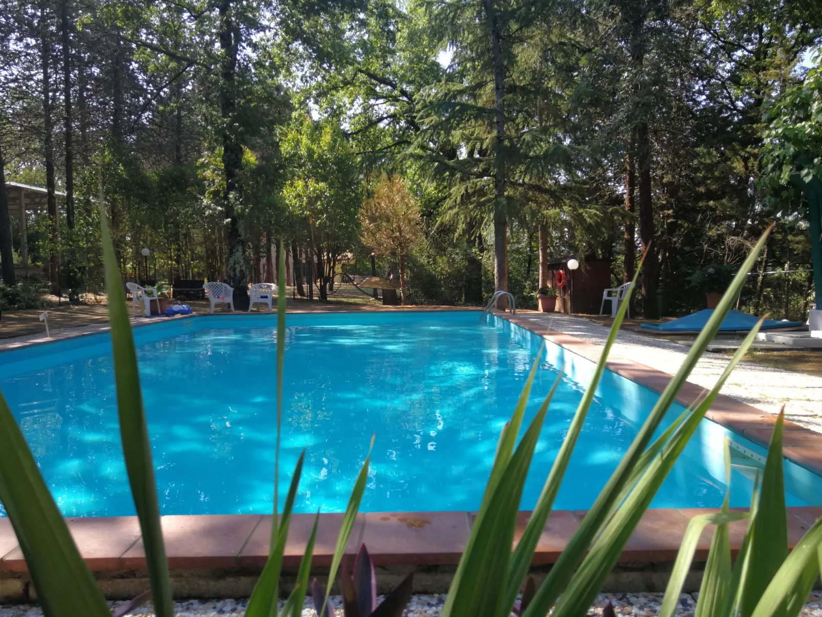 Villa Alari-Dehors