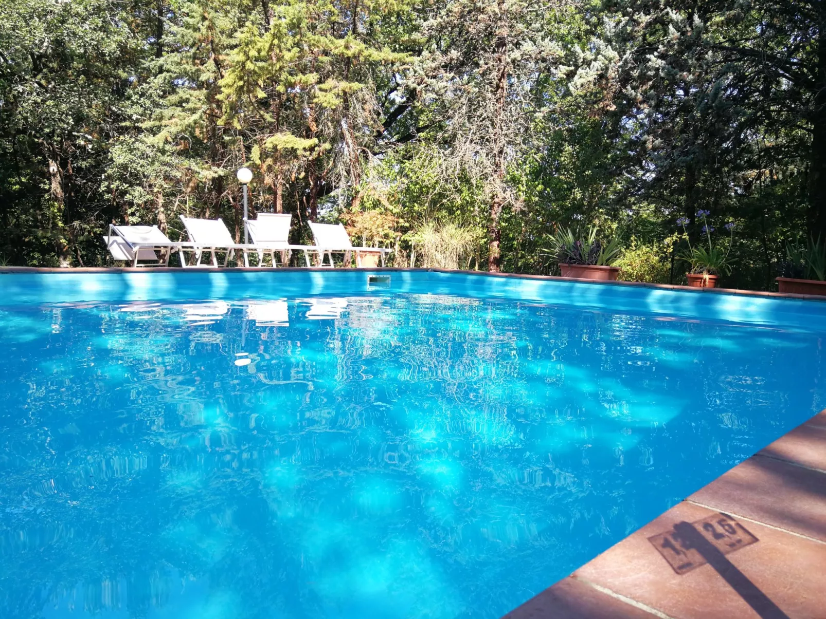 Villa Alari-Dehors